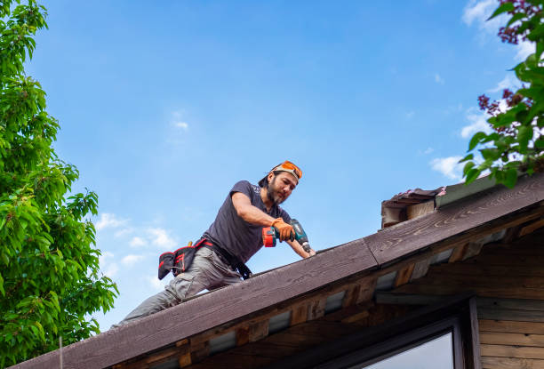 Best Skylight Installation and Repair  in Roman Forest, TX