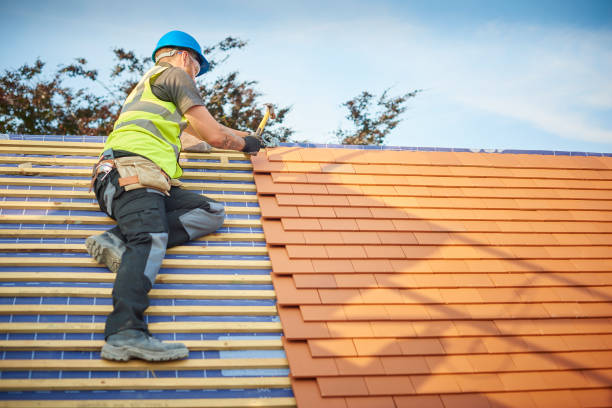 Best Chimney Flashing Repair  in Roman Forest, TX